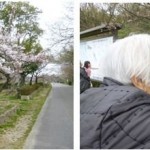桜の季節♪お花見✿＜アクティブライフ夙川・デイサービス＞
